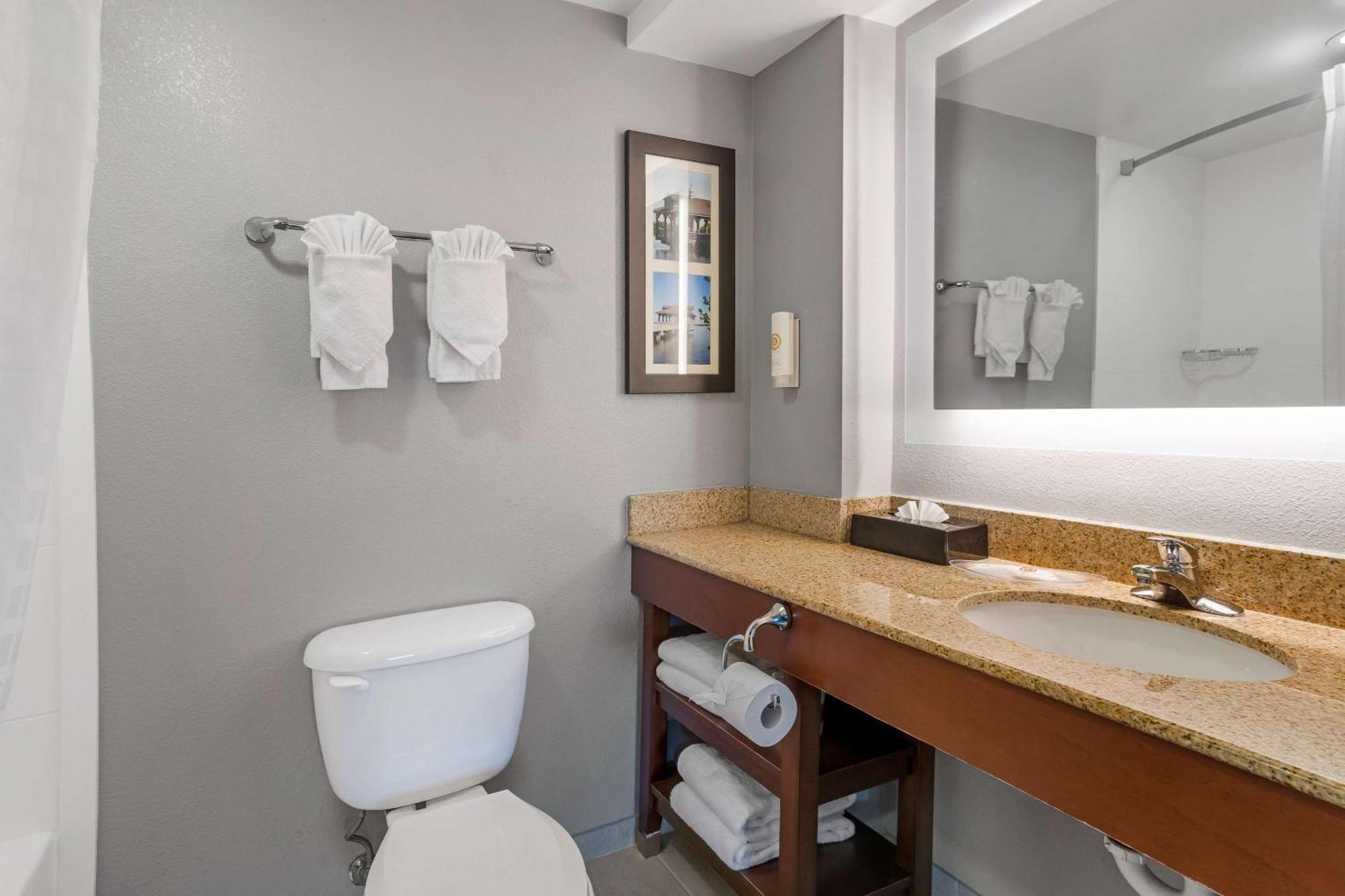 Comfort Suites Near Birkdale Village- האנטרסוויל מראה חיצוני תמונה